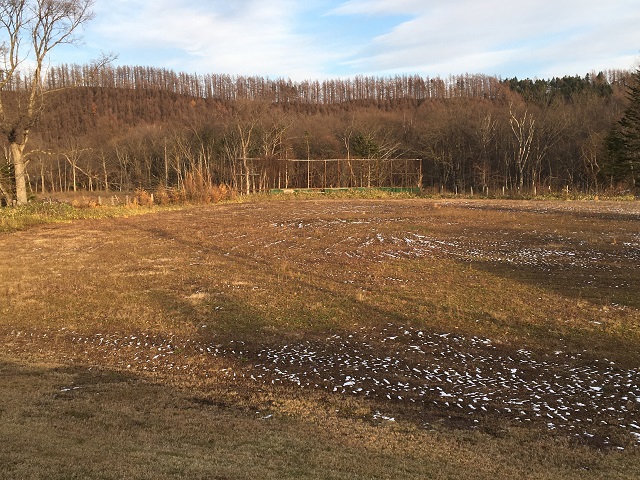 緑町小学校②